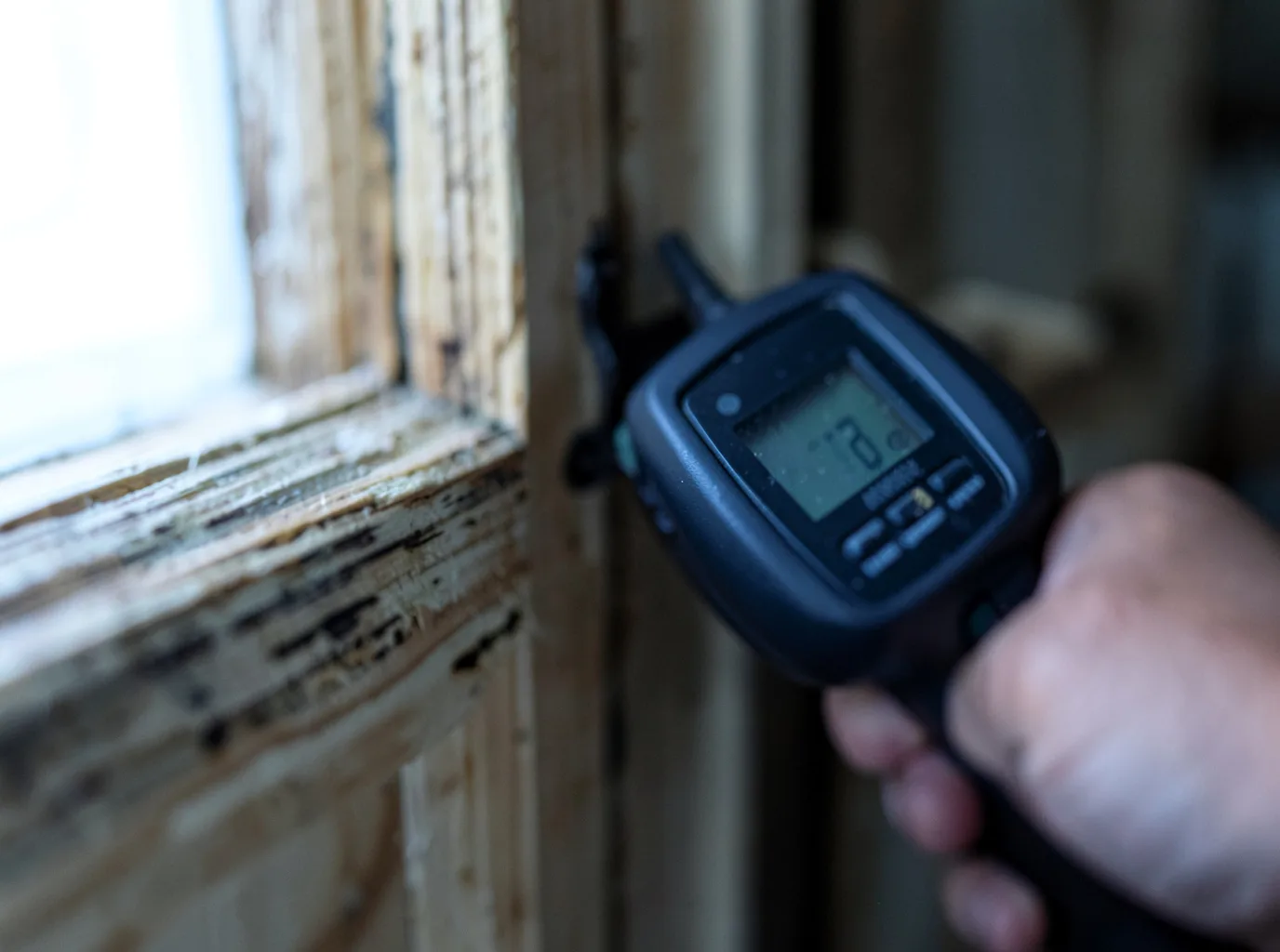Moisture Inspection And Documentation in Vernon, AZ